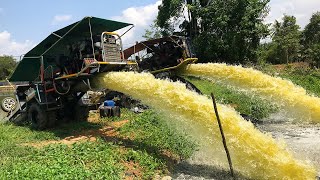 Running 2 Powerful Water Pumps 14 Inches for Irrigation. Powered by Diesel Engines in Thailand