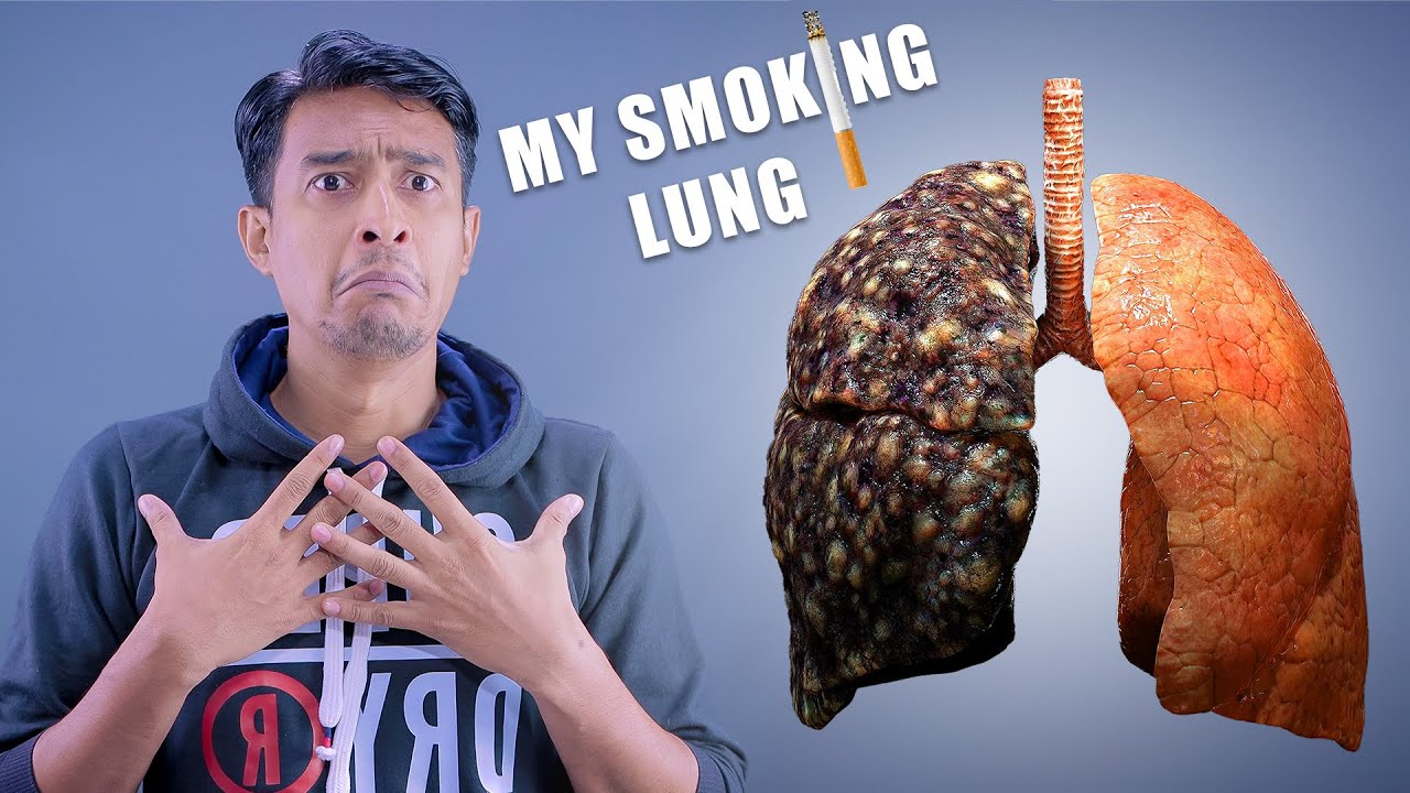Explore the human lung in augmented reality - YouTube