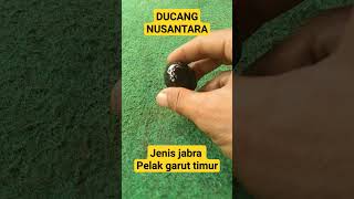 Ducang seni budaya orang sunda @hobylayanganindonesia