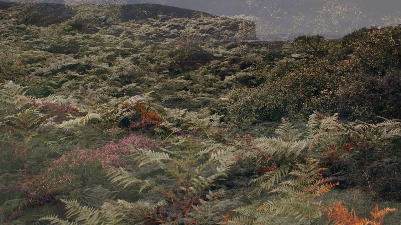 Erland Cooper - Rackwick Glen Erland Cooper - Rackwick Glen