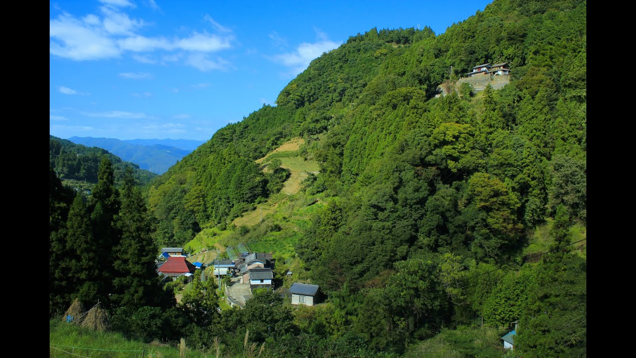 【険道/断崖に建つ家屋】徳島県道44号 三加茂東祖谷山線 part 4 (完) +上空から振り返り【旧三加茂町】