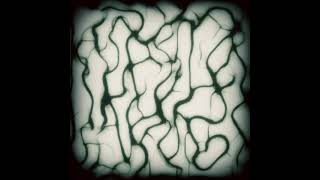 Moving Agents using Compute shaders in Unity