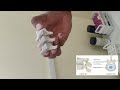 Vertebral column 