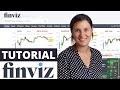 🔧📈FINVIZ 2021: El TUTORIAL Actualizado *MÁS COMPLETO* - Paso a Paso