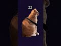 May 21, 2026