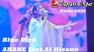 Download Lagu Blue bird - AKANE feat.Ai Hisano in Japan EXPO Paris2025 MP3 Download Lagu Blue bird - AKANE feat.Ai Hisano in Japan EXPO Paris2025 MP3