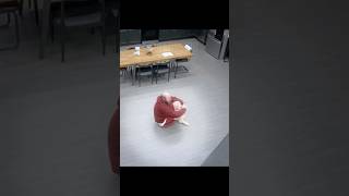 Celebrity This BROKE him but he LOCKED IN 🫡 Net Worth