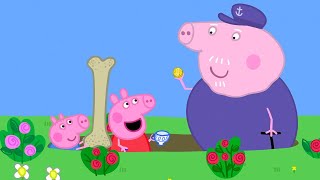 the treasure hunt peppa pig official full episodes