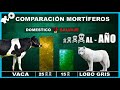 COMPARACIÓN de Los ANIMALES MÁS MORTÍFEROS, Cual es La Especie Que LIQUIDA Más PERSONAS al AÑO