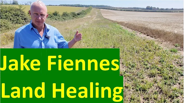 regenerative agriculture: food production and nature together