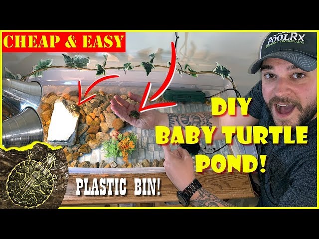 DIY TURTLE TANK! (BABY TURTLES) PLASTIC BIN TURTLE