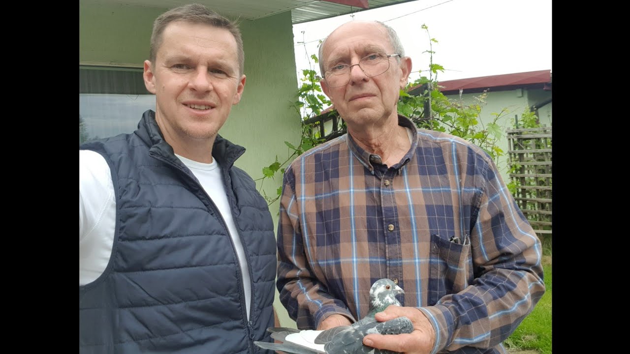 Roman Reszelski 0417 Milicz. NIETYPOWA MISTRZOWSKA HODOWLA, łamiąca wszelkie zasady?#gołąb