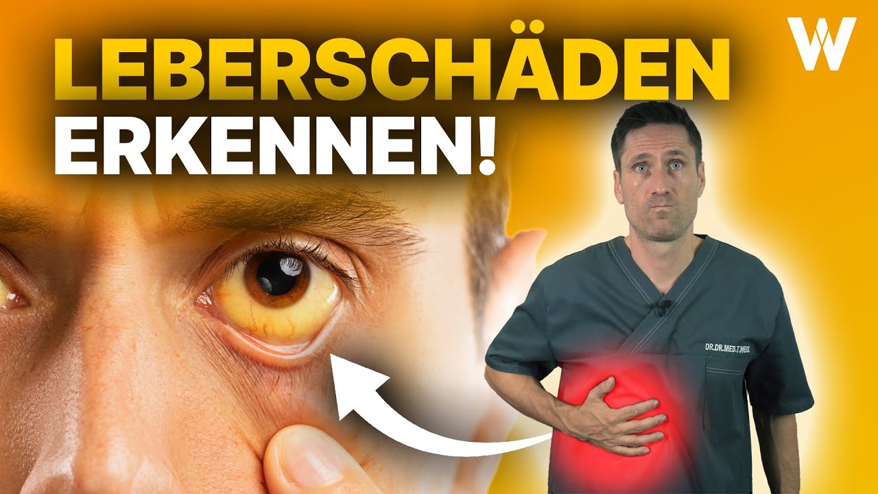 Leber - Klinische Untersuchung - AMBOSS Video