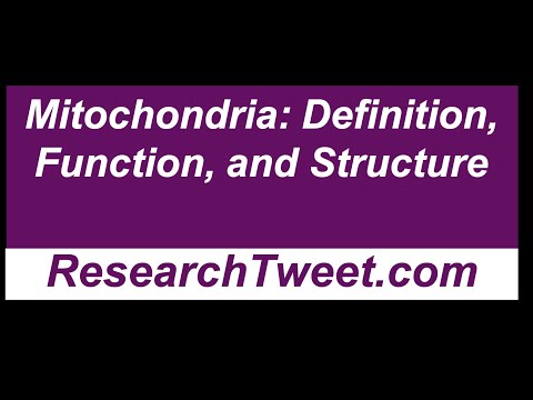Mitochondria: Definition, Function, and Structure