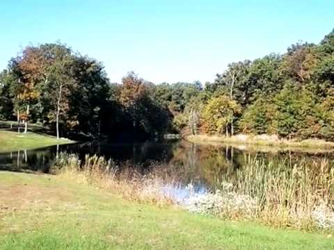 8 Weeks Ln, Litchfield, IL home video tour