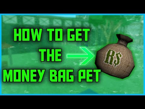 How To Get The Money Bag Pet In Zombie Attack General Rony Youtube - roblox zombie attack how to get money fast