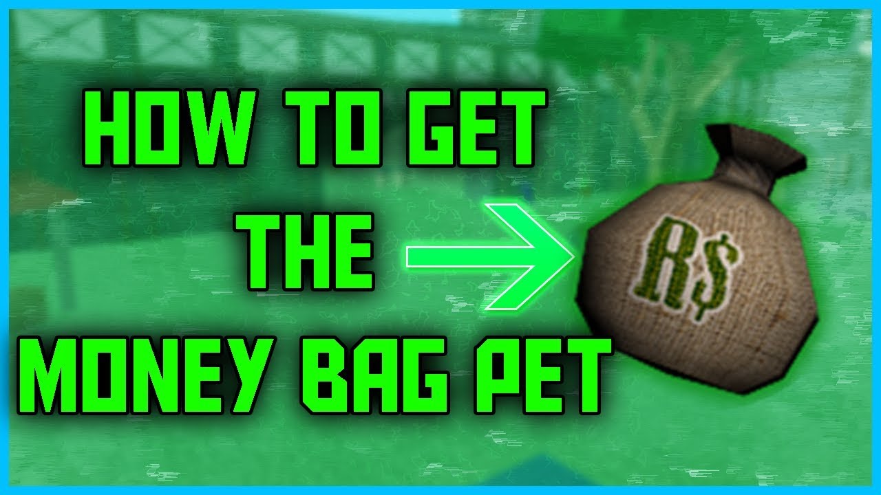 How To Get The Money Bag Pet In Zombie Attack General Rony Youtube - roblox moneybag