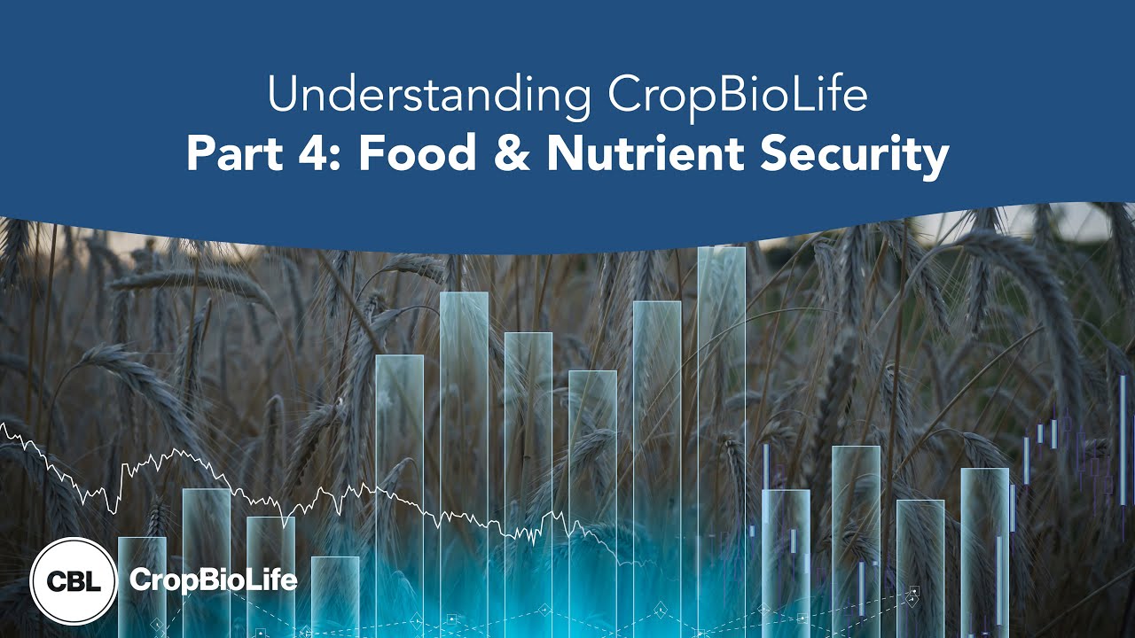 Understanding CropBioLife Part 4: Food and Nutrient Security