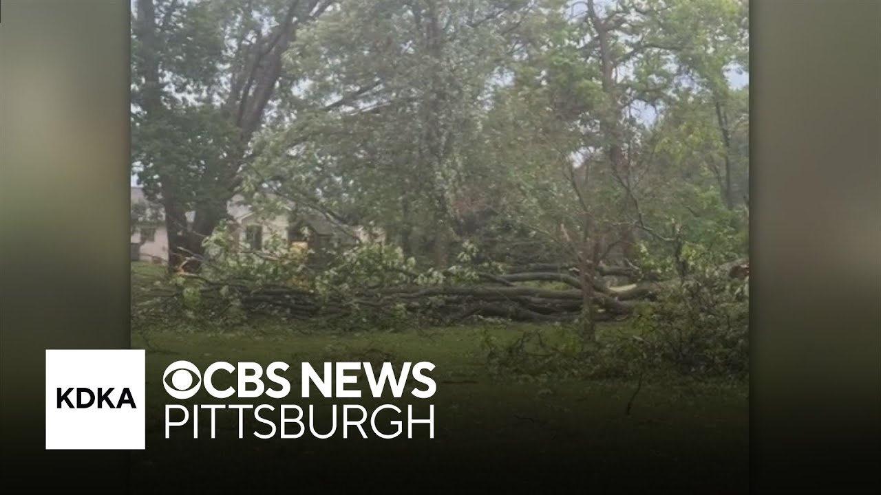 Storms bring down trees, knock out power to thousands in Beaver County ...