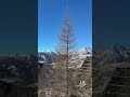 Місце сили🌲🏔️ #montagna #inverno #christmas #nevicare