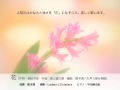 花(女声3部合唱版/作曲:森山直太朗 編曲:榎本潤)