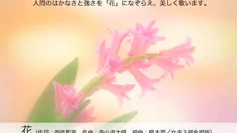 تحميل 花 森山直太郎