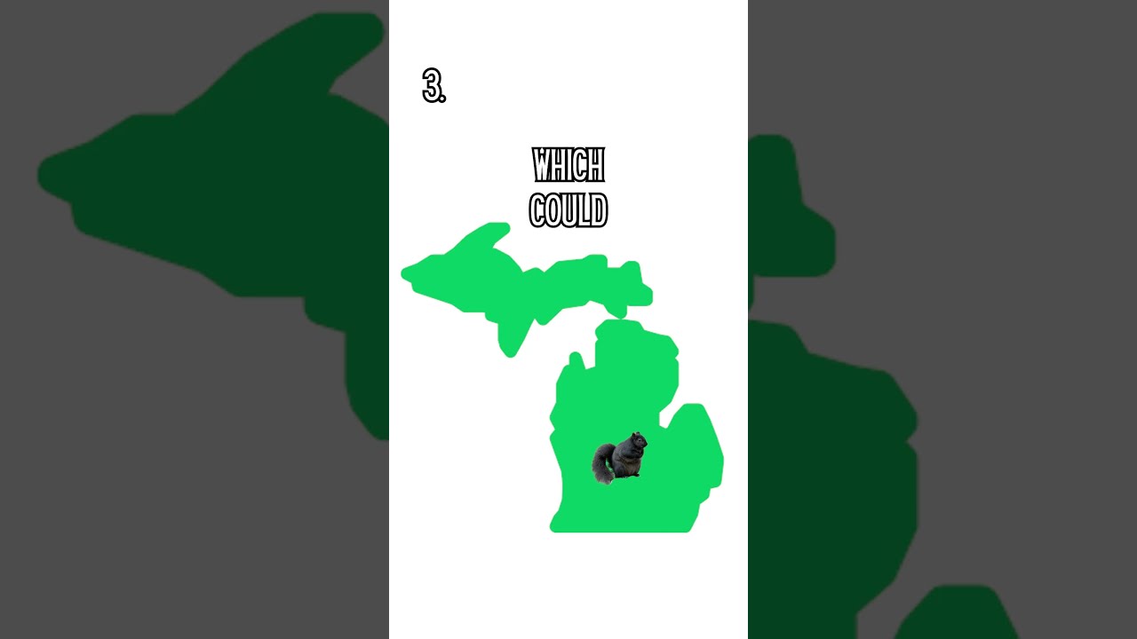 Fun Facts About Black Squirrels #michigan