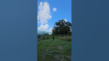 Thả diều tầng bến tre