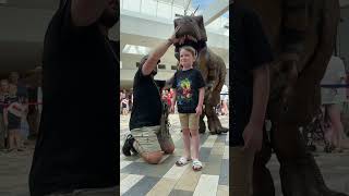 Brave kids nearly gets eaten by T.Rex