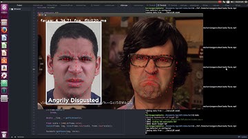 OpenCV Facemark API - LBF