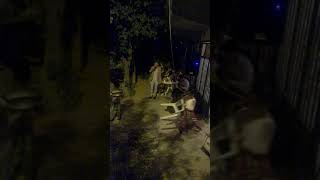 Diyar Erbek Ile Düğün Sahnesi