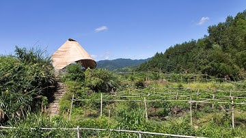 Students "reinvigorate" traditional bamboo weaving with digital technologies for Sun Room pavilion