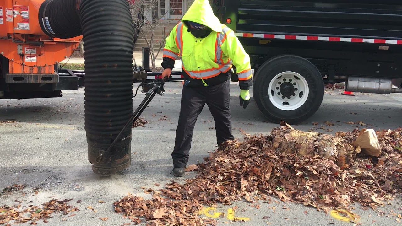 ODB Leaf Vacuum - Washington DC
