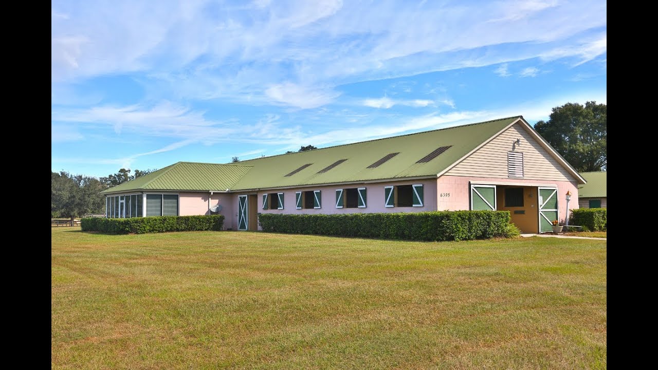 Ocala Farm Sales 158A YouTube