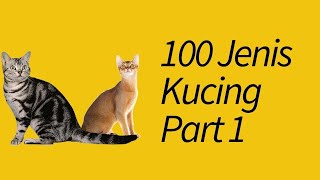 100 Jenis Kucing di Seluruh Dunia! Part 1 by MeowCitizen 36,800 views 3 years ago 8 minutes, 29 seconds