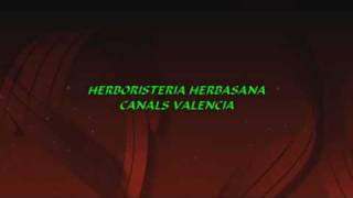 Seminario Sm.wmv
