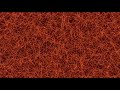 4k Orange abstract spider web moving background AA Designs 2160p