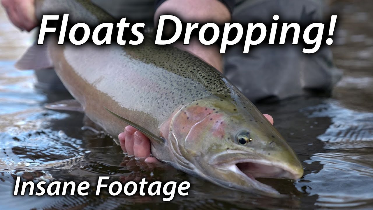 Insane Winter Steelhead Fishing - Floats Drop 