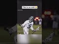 The greatest moment in Lacrosse history! (via KIYWII/Twitter)