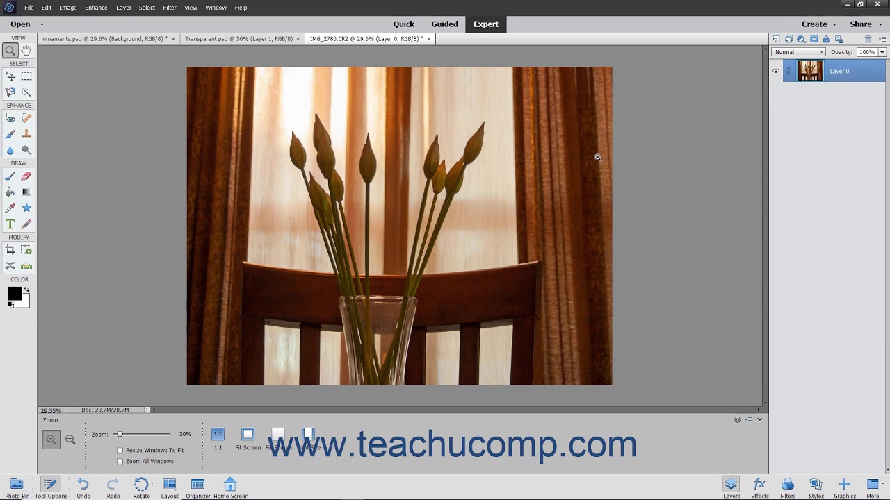 Photoshop Elements 2021 Tutorial Layer Types Adobe Training - YouTube
