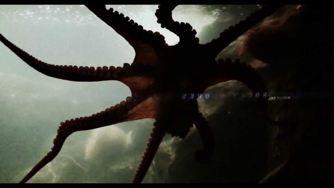 video phone beyonce mp3 OCTO-Video in slow-motion!