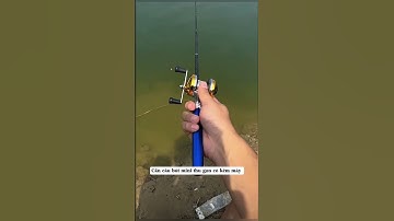 Cần câu bút mini thu gọn có kèm máy #fishing #cauca #xuhuong