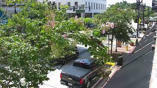 1WebsiteNow LIVE Downtown DeLand | South Woodland Blvd | 2026-08-13 10 AM ET