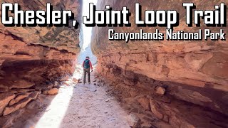 Chesler, Joint Loop Trail - Canyonlands National Park