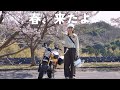 桜の開花を待てない私は、春を探す旅に出た｜モンキー125