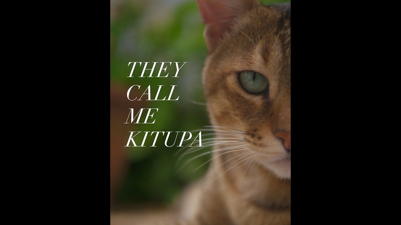They Call Me Kitupa | A Vertical Short Film