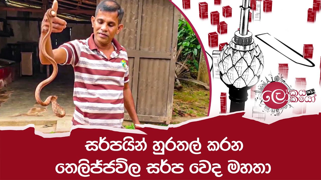 සර්පයින් හුරතල් කරන තෙලිජ්ජවිල සර්ප වෙද මහතා  | LOKAYA SAHA LOKAYO