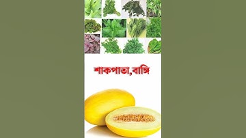 general knowledge || quiz | spinal cord part-462