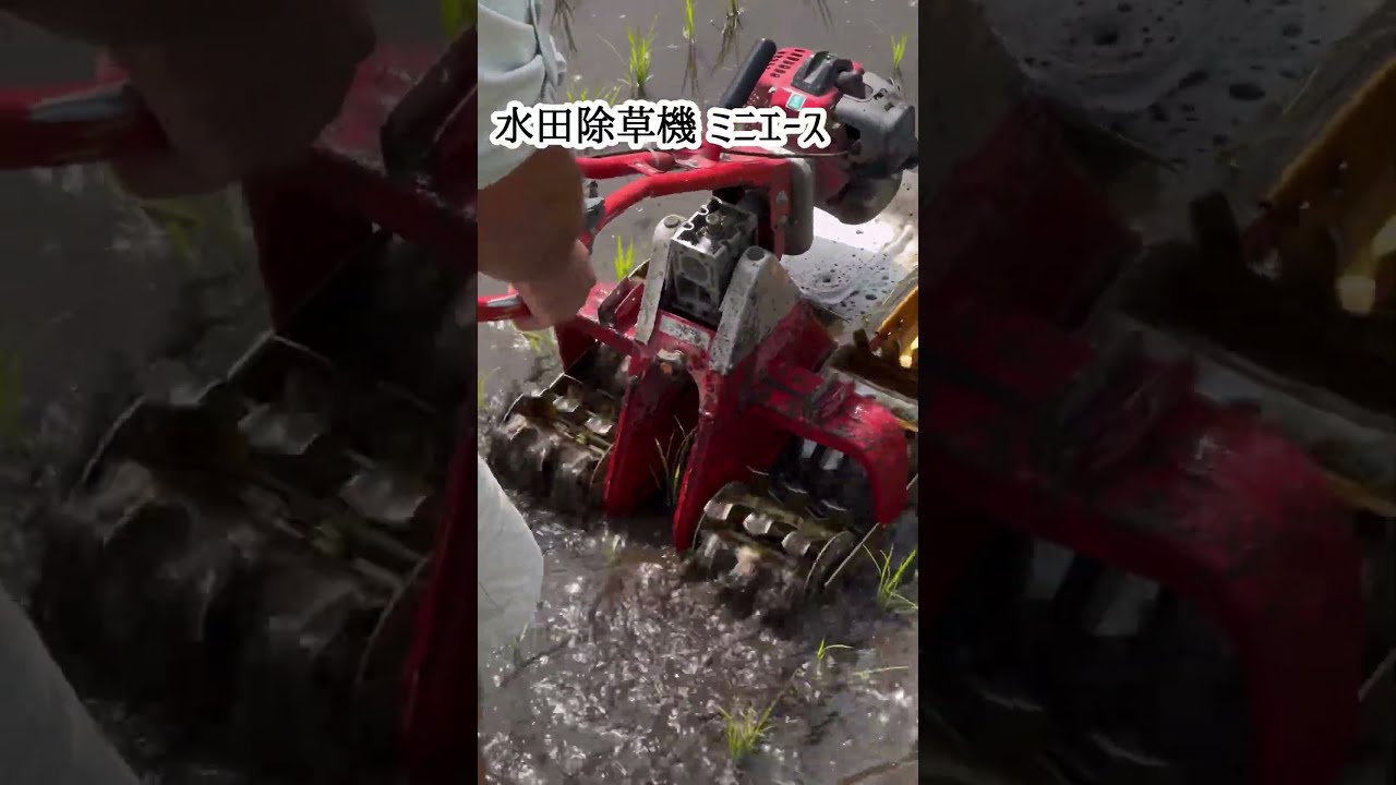 太昭農工機】水田除草機 ミニエース TG-ES(標準田用) - 乗用草刈