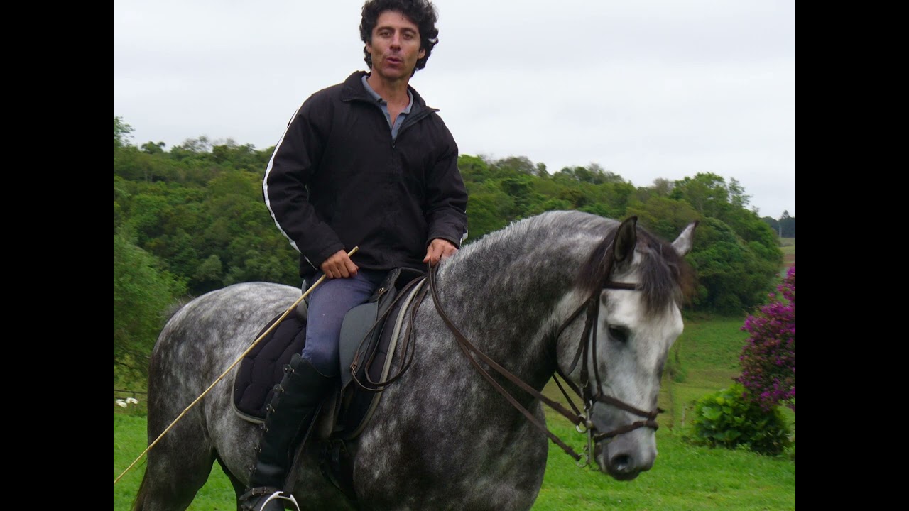 Vídeo sem título ‐ Feito com o Clipchamp